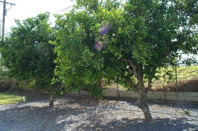 215 S Valley View Rd unit 90, Donna, TX 78537 - photo 4