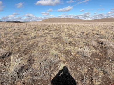 0 Lariat Rd unit 830135, Monte Vista, CO 81144 - photo 4