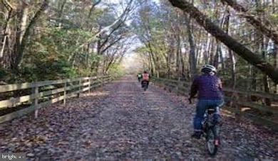 Lot 3 Mulberry St, Lewes, DE 19958 - photo 3