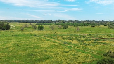 12544 Highway 36 S, Needville, TX 77461 - photo 6