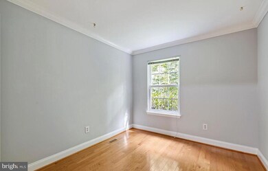 9740 Pleasant Gate Ln, Potomac, MD 20854 - photo 4