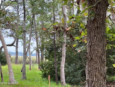 3263 Marsh View Dr, Lockwoods Folly, NC 28462 - photo 7