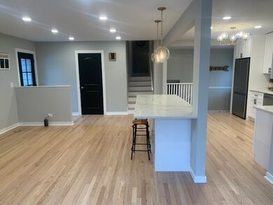 312 W Gartner Rd, Naperville, IL 60540 - photo 5