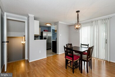 833 Oak Leaf Ct, Warrenton, VA 20186 - photo 5