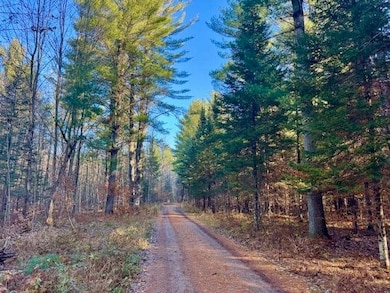 821 Hidden Acres, East Jordan, MI 49727 - photo 3