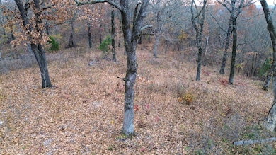 0 Tbd Elk Springs Rd, Noel, MO 64854 - photo 6