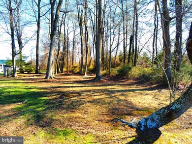 32045 Sussex St, Dagsboro, DE 19939 - photo 2