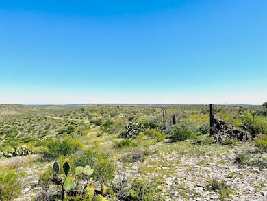 TBD Hargrove Winters Rd, Coms, TX 78837 - photo 7