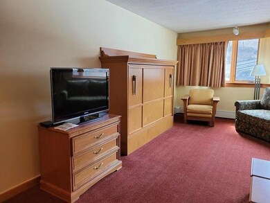 90 Loon Mountain Rd unit 862D, Lincoln, NH 03251 - photo 6