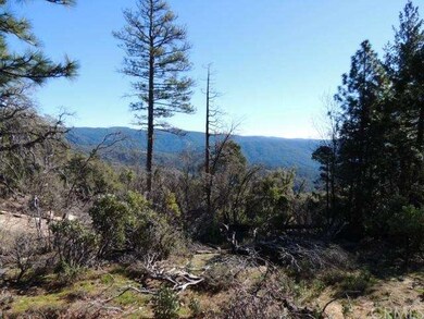 Canyon View