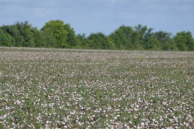 0 Pleasant Rd, Needville, TX 77461 - photo 7