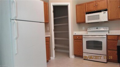 Kitchen Pantry view