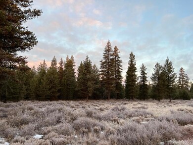 IMG_8680