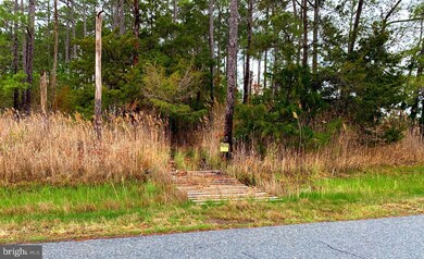 Parcel 0120 Bishops Head Rd, Toddville, MD 21672 - photo 4