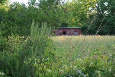 006 stable