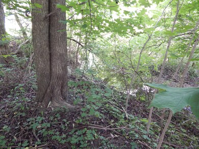 DSCN0871