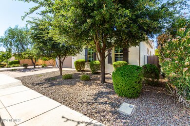 2870 E Iris Dr, Chandler, AZ 85286 - photo 3