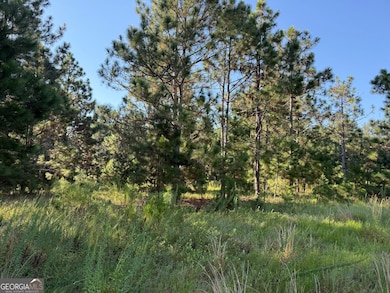 0 Sunbury Rd unit TRACT 4 10599355, Daisy, GA 30417 - photo 5