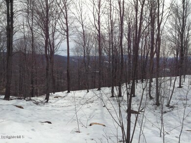 unlisted-address, Dalton, MA 01226 - photo 4