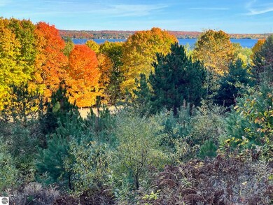 00 S Lake Shore Dr, Cedar, MI 49621 - photo 2