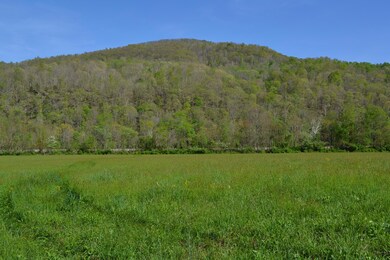 Land View