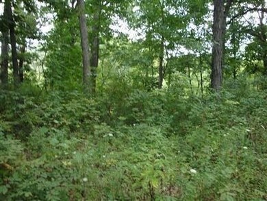 12210 Lee St, Crown Point, IN 46307 - photo 3