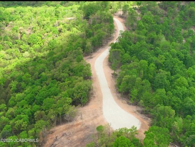 Lot 3 State Aa Rd, Roach, MO 65787 - photo 6