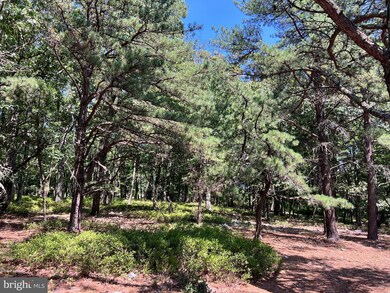 7751 Greenwalt Gap, Franklin, WV 26807 - photo 7