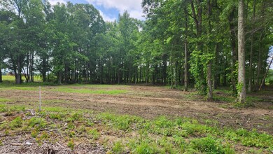 0 Fredonia Rd unit RTC2658009, Manchester, TN 37355 - photo 5