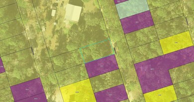 xxx Summer Brooke Ln, Crawfordville, FL 32327 - photo 3