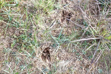 0 E County Road 1170, Stigler, OK 74462 - photo 4