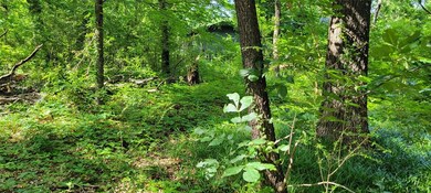 44 Jay Ln, Sadler, TX 76264 - photo 4