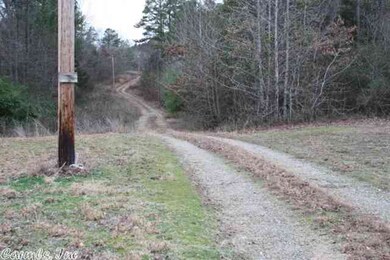 134 Magic Pine Ln, Mena, AR 71953 - photo 4