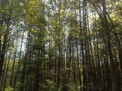 Come enjoy nature at its best.