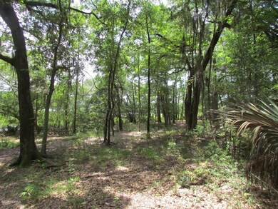 Wooded View
