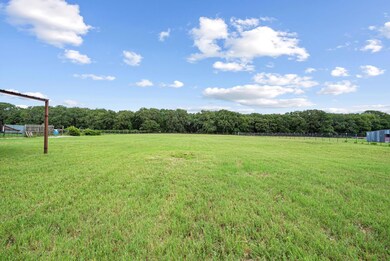 336 Creekview Meadows Dr, Springtown, TX 76082 - photo 4