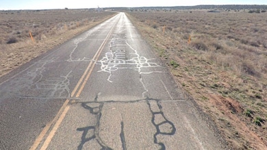 Apache unit AZ, Saint Johns, AZ 86512 - photo 4