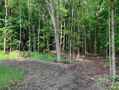 1281 Vermont 101, Troy, VT 05868 - photo 6