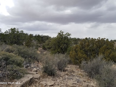 8 Juniperwood Ranch, Ash Fork, AZ 86320 - photo 5