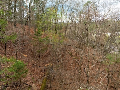 0 Carroll Ave unit 1304115, Eureka Springs, AR 72632 - photo 2