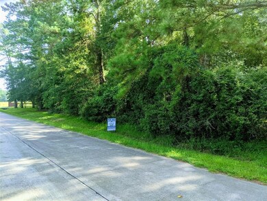 0 Tennoaks unit 42199737, Hockley, TX 77447 - photo 2