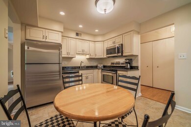 6 Elphin Ct unit 302, Lutherville Timonium, MD 21093 - photo 4