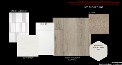 383 Sugarcane, New Braunfels, TX 78132 - photo 3