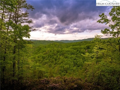 289 Ninebark Rd, Boone, NC 28607 - photo 2