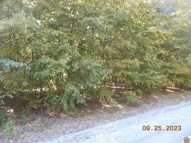 0 Rivers End Ct unit Lot 121, Cadiz, KY 42211 - photo 2