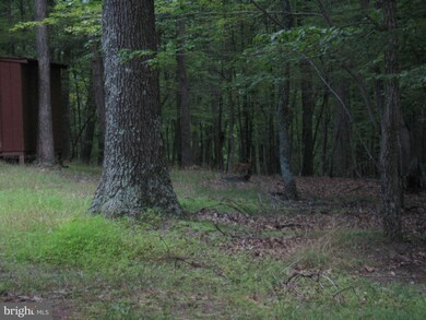 675 Honey Locust Ln, Great Cacapon, WV 25422 - photo 4