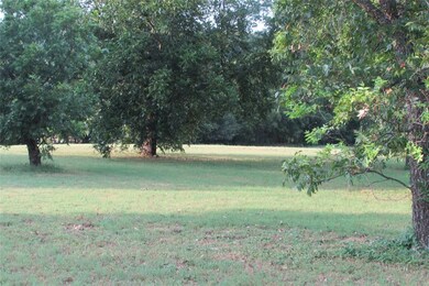 Mature Trees