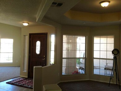 FRONT DOOR AREA