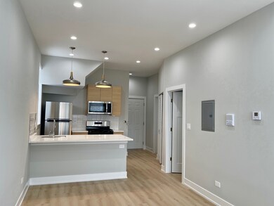 2238 W 24th St unit 2F, Chicago, IL 60608 - photo 2
