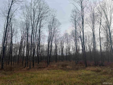 120 Acres Off County Sk Rd, Cornell, MI 49818 - photo 4